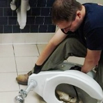 Clogged Pipes and Toilets